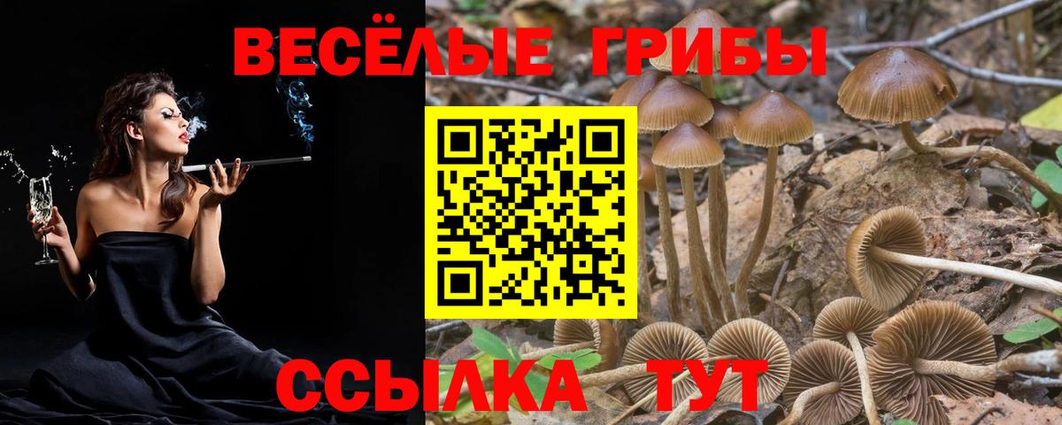 купить  цена  Галлюциногенные грибы Magic Shrooms  Вход с VPN  Лабинск 